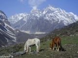 Manaslu-452